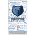 NBA Memphis Grizzlies Historic Blast Xbox Series S Console Skin